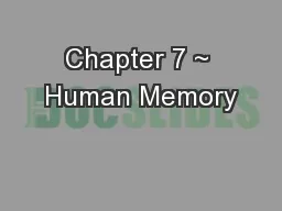Chapter 7 ~ Human Memory