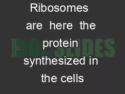 Ribosomes  are  here  the protein synthesized in the cells