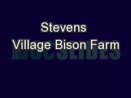 Stevens Village Bison Farm
