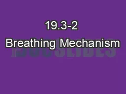 19.3-2 Breathing Mechanism