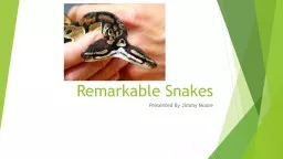 Remarkable Snakes  P resented By Jimmy Moore