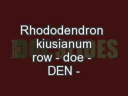 Rhododendron  kiusianum row - doe - DEN -