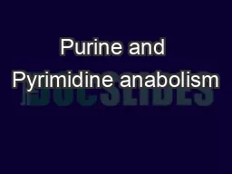 Purine and Pyrimidine anabolism