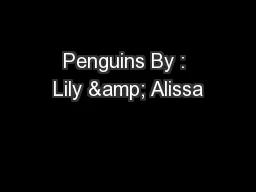 Penguins By : Lily & Alissa