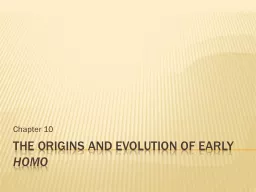 The Origins and Evolution of early