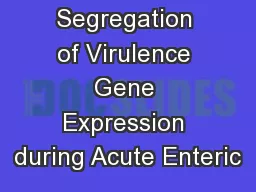 Spatial Segregation of Virulence Gene Expression during Acute Enteric