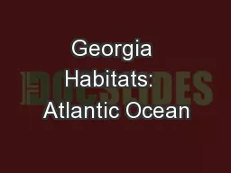 Georgia Habitats:  Atlantic Ocean