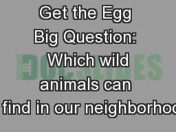 Get the Egg Big Question:  Which wild animals can we find in our neighborhood?