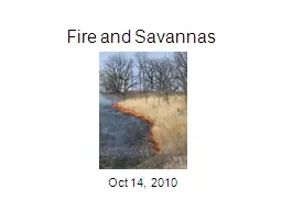 Fire and Savannas Oct 14, 2010