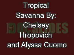 Tropical Savanna By: Chelsey Hropovich and Alyssa Cuomo