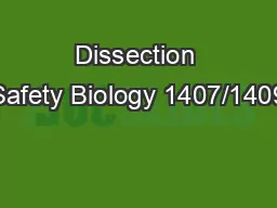 Dissection Safety Biology 1407/1409
