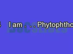 #4    I am .  . . Phytophthora