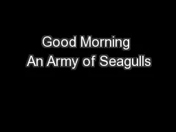 Good Morning An Army of Seagulls