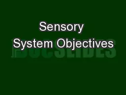 Sensory System Objectives