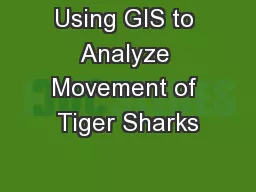 Using GIS to Analyze Movement of Tiger Sharks