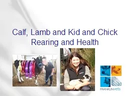 Calf, Lamb and Kid and Chick Rearing and Health