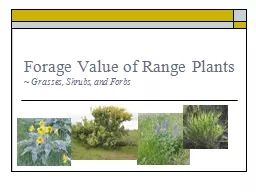 Forage Value of Range Plants