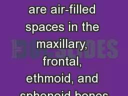 1 Sinuses  The sinuses are air-filled spaces in the maxillary, frontal, ethmoid, and sphenoid
