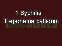 1 Syphilis   Treponema pallidum