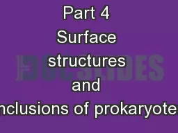 Chapter 4 Part 4 Surface structures and inclusions of prokaryotes