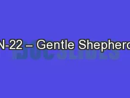 N-22 – Gentle Shepherd