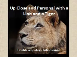 Up Close and Personal with a Lion and a Tiger