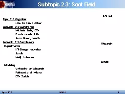 Subtopic 2.3: Soot Field