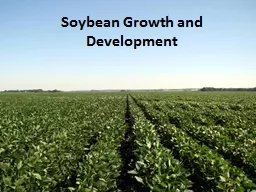 Soybean Growth and Development