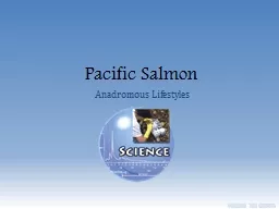 Pacific Salmon Anadromous Lifestyles