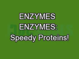 ENZYMES  ENZYMES: Speedy Proteins!