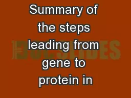 Summary of the steps leading from gene to protein in