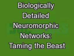 Large-Scale, Biologically Detailed Neuromorphic Networks: Taming the Beast