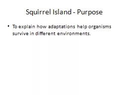 Squirrel Island - Purpose