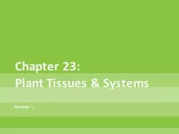 Chapter 23: Plant Tissues & Systems