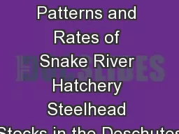 Variation in Straying Patterns and Rates of Snake River Hatchery Steelhead Stocks in the