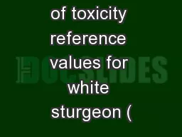 Development of toxicity reference values for white sturgeon (