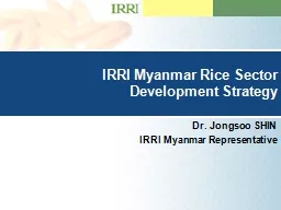 IRRI Myanmar Rice Sector Development Strategy