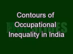 Contours of Occupational Inequality in India