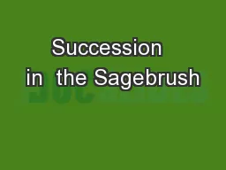 Succession  in  the Sagebrush