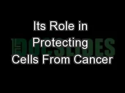 Its Role in Protecting Cells From Cancer