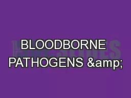 BLOODBORNE PATHOGENS &