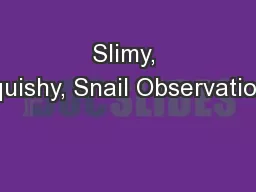Slimy, Squishy, Snail Observations