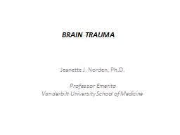 BRAIN TRAUMA Jeanette J. Norden, Ph.D.