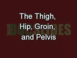 The Thigh, Hip, Groin, and Pelvis