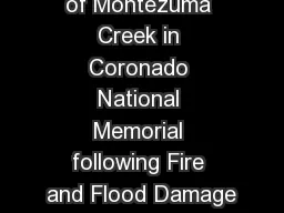 Channel Repair of Montezuma Creek in Coronado National Memorial following Fire and Flood Damage