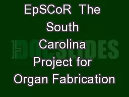 NSF  EpSCoR  The South Carolina Project for Organ Fabrication