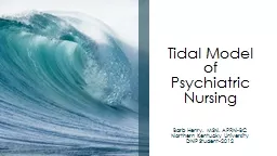 Tidal Model of  Psychiatric Nursing