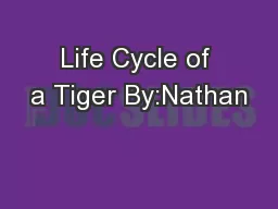 Life Cycle of a Tiger By:Nathan