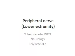 Peripheral nerve  (Lower extremity)