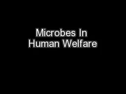 Microbes In Human Welfare